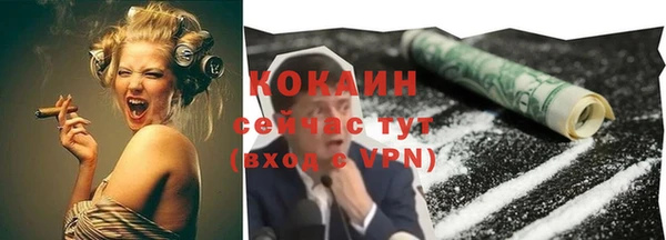 индика Баксан
