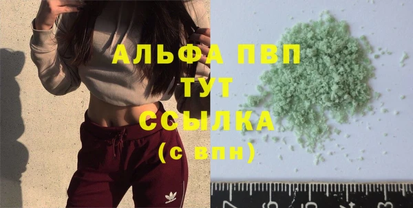 индика Баксан