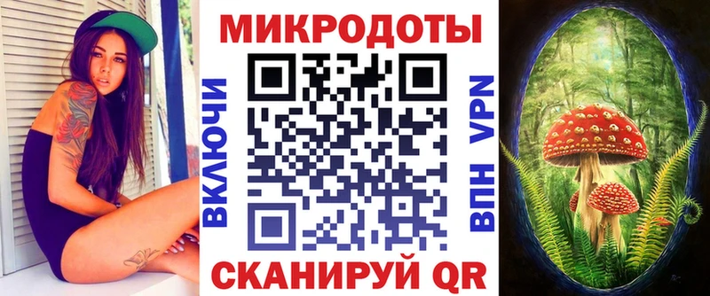 Галлюциногенные грибы Psilocybe Барыш